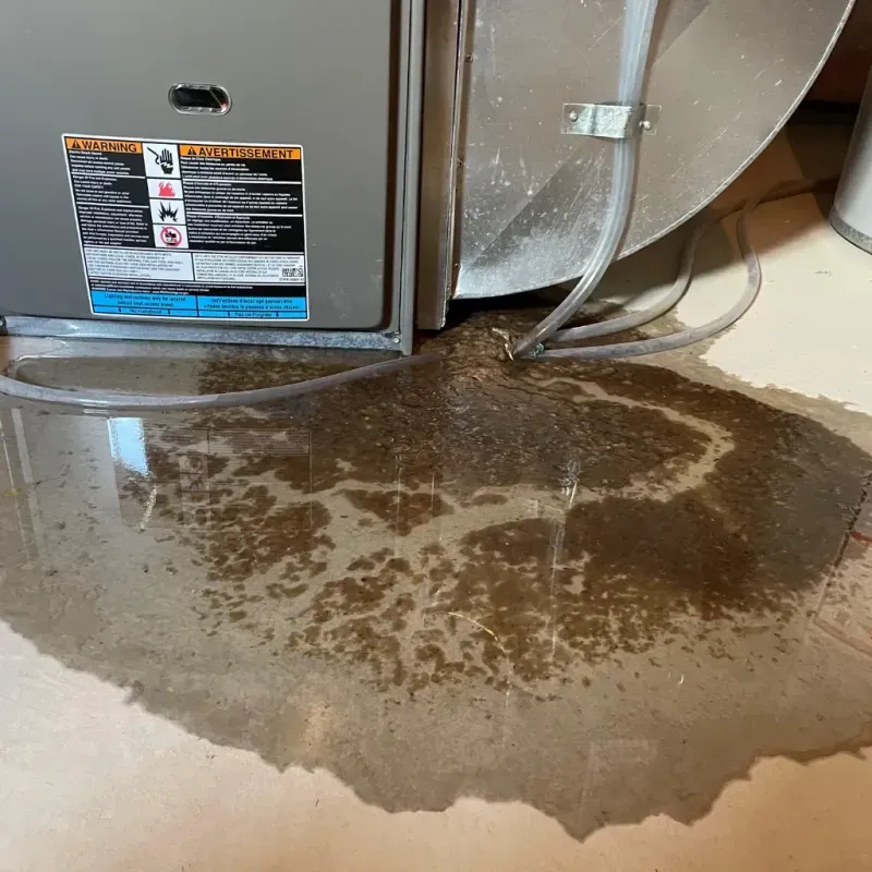 Appliance Leak Cleanup in Desert Edge, CA